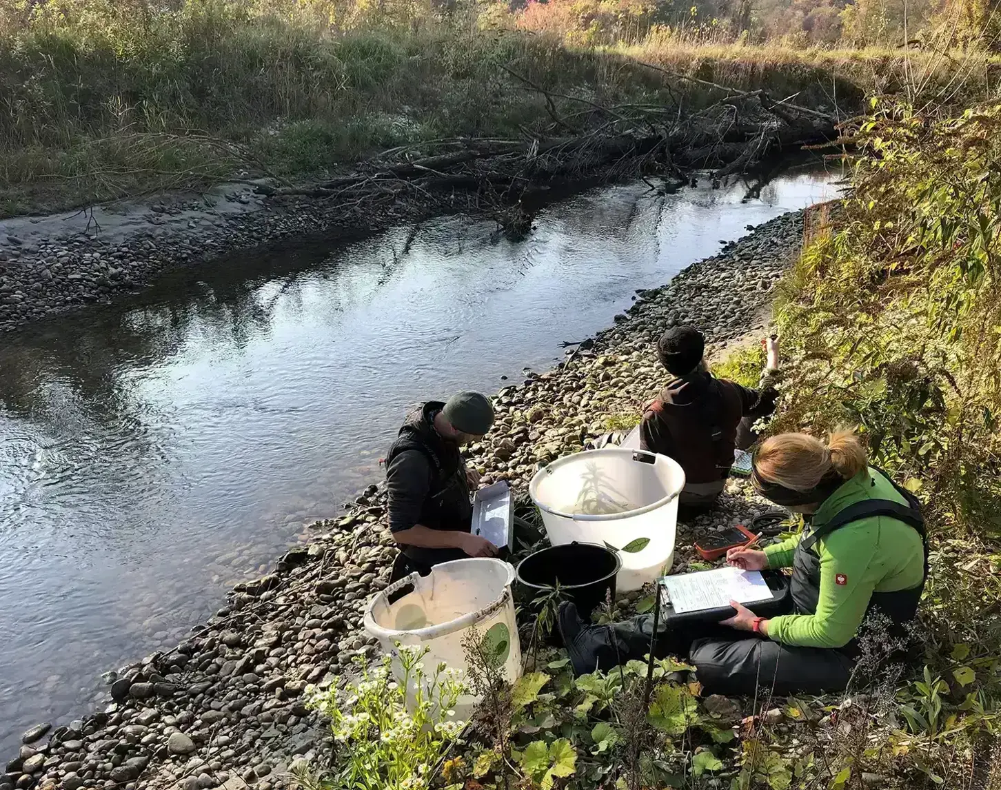 Some young people are monitoring fish on the banks of the river. The setting is autumnal.