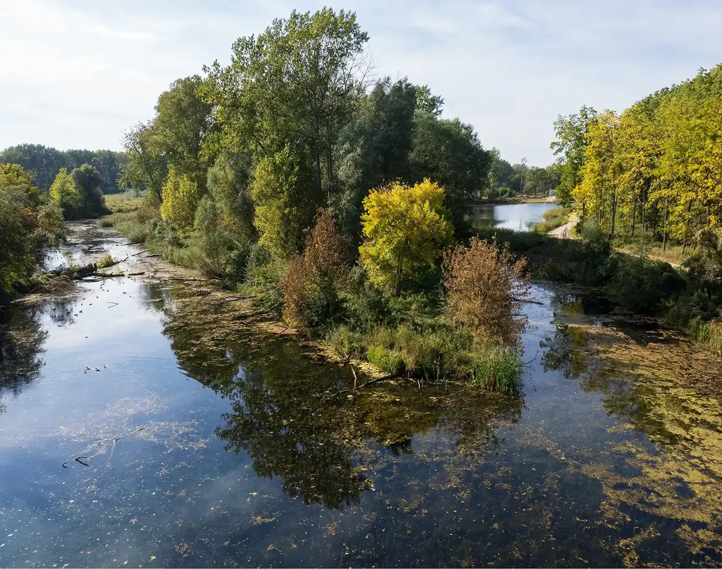 Ein natürlich Flusslauf hat zahlreiche Vorteile für Flora und Fauna. Das Bild zeigt eine Flussschleife der Traisen and der sich direkt kleinere Sträucher und Bäume angesiedelt haben.